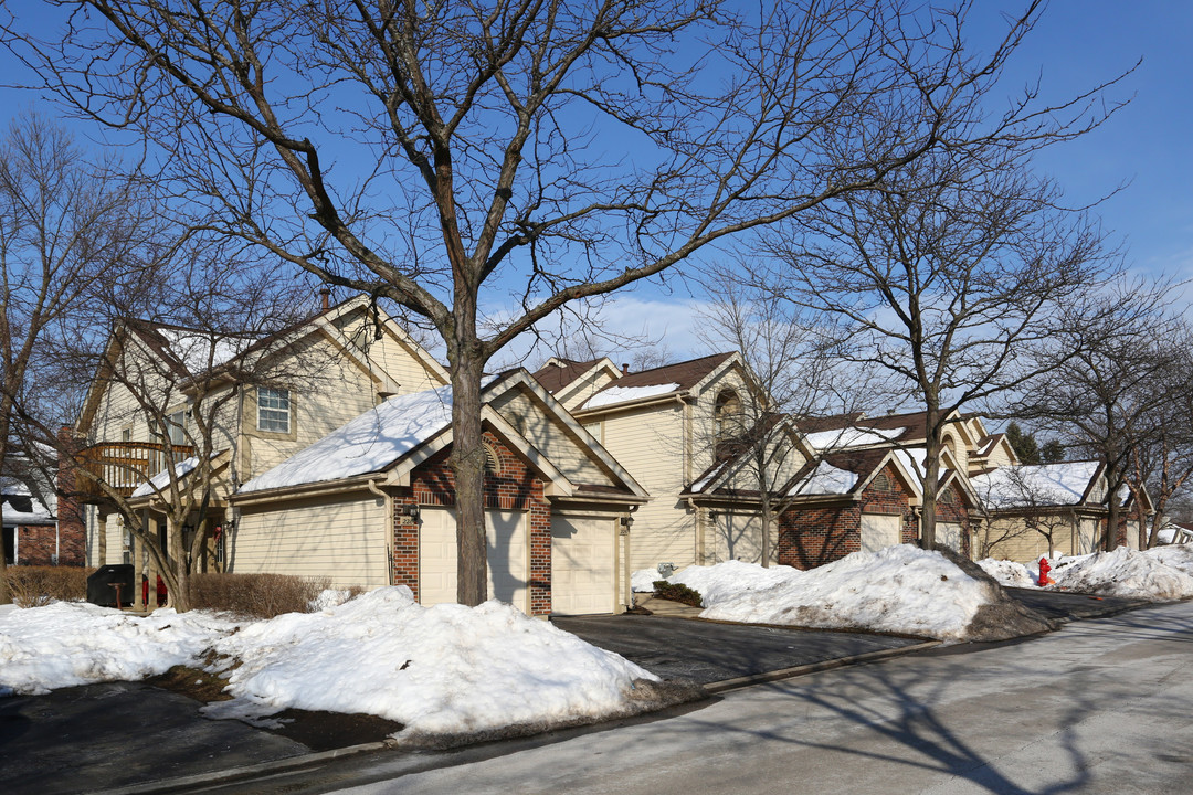 Hamilton Creek in Palatine, IL - Building Photo