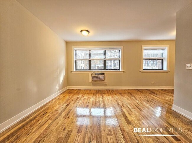 510 W Briar Pl in Chicago, IL - Building Photo - Building Photo