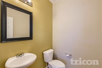 201 Pear Lake Way in Erie, CO - Building Photo - Building Photo