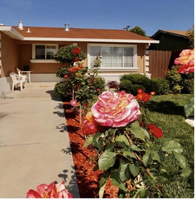 property at 2429 Poplar Dr