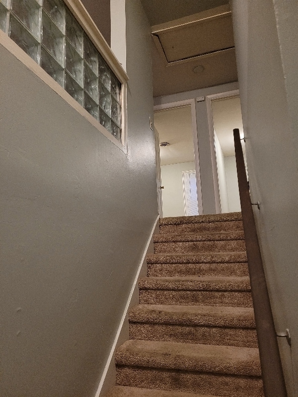 1010 N Pine St in Lansing, MI - Building Photo - Building Photo