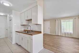 3569 Surf Pl in Oceanside, CA - Building Photo - Building Photo