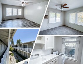 1559 N Hill Ave in Pasadena, CA - Building Photo - Building Photo