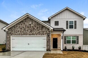 322 Hamilton Pointe Dr in Mcdonough, GA - Building Photo