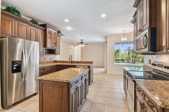 21107 Bircholm Ct in Land O Lakes, FL - Building Photo - Building Photo