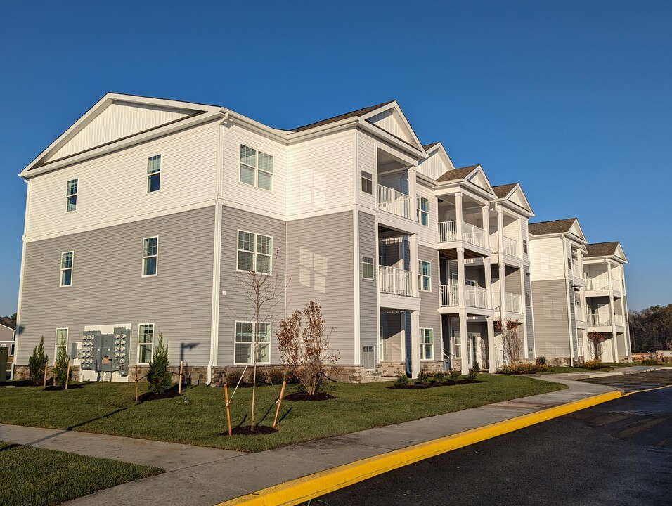 College Park Apartments and Rental Homes in Georgetown, DE - Foto de edificio