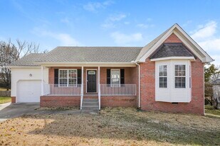 706 Veneta View Dr in Mount Juliet, TN - Building Photo