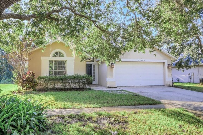 18904 Nest Fern Cir in Tampa, FL - Building Photo - Building Photo