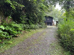 316 Rules Run Rd in Clyde, NC - Building Photo - Building Photo
