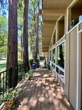 13246 Red Dog Rd in Nevada City, CA - Building Photo - Building Photo