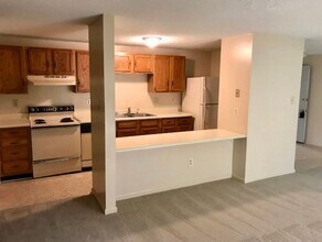 9531 Shannon Green Dr in Charlotte, NC - Building Photo - Building Photo