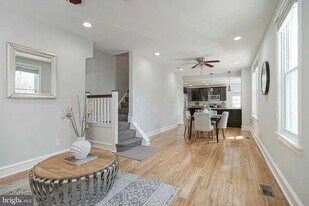 217 Shurs Ln in Philadelphia, PA - Building Photo