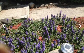 26 Rochester St, Unit 26B#1 in Dryden, NY - Building Photo - Building Photo