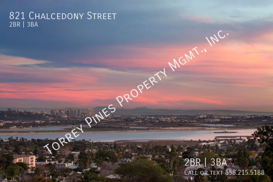 821 Chalcedony St in San Diego, CA - Building Photo