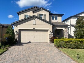 20068 Stone Pine Cir in Lutz, FL - Building Photo