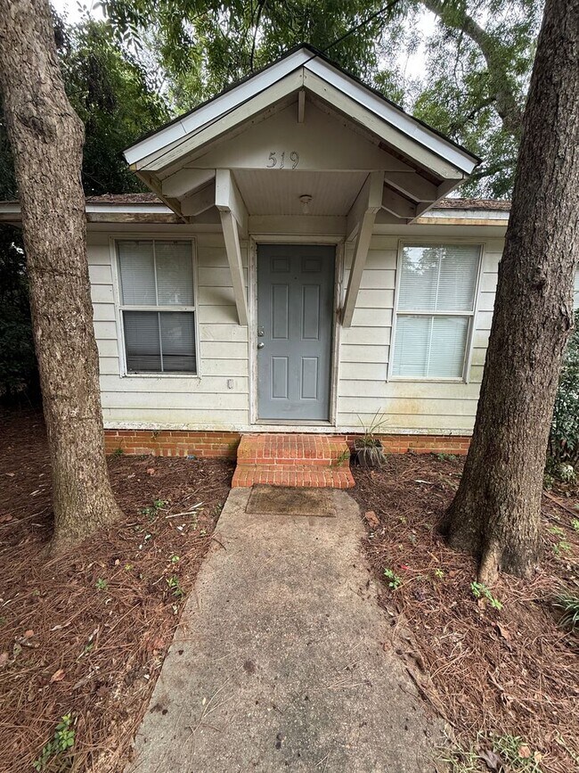519 W 6th Ave in Tallahassee, FL - Building Photo - Building Photo