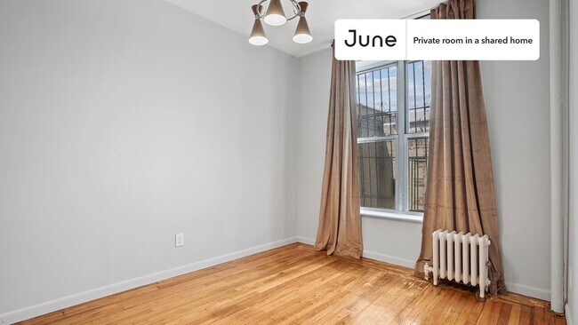 81 Olive St in New York, NY - Building Photo - Building Photo