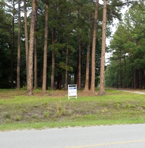 850 Griffin Rd in Allenhurst, GA - Building Photo - Building Photo