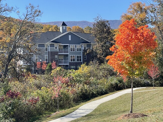 Palisades at Plott Creek in Waynesville, NC - Building Photo - Building Photo