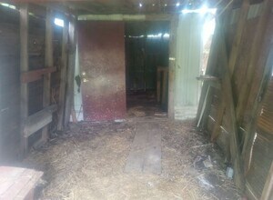 217 Green St in Licking, MO - Building Photo - Building Photo