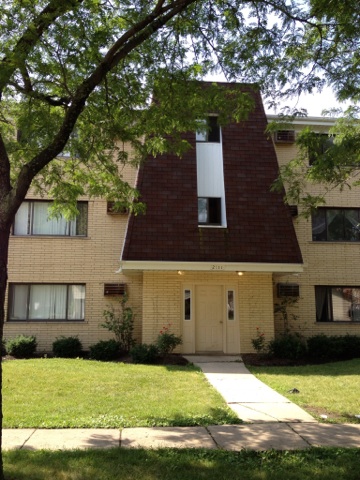 2131 Narcissus Ave in Hanover Park, IL - Foto de edificio - Building Photo