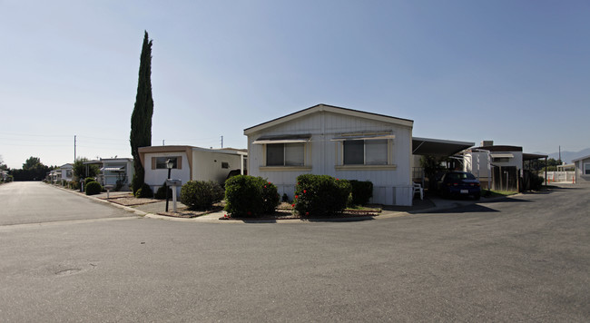 Pepper Villa in Rialto, CA - Building Photo - Building Photo