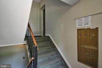 3811 Newark St NW, Unit 438 in Washington, DC - Building Photo - Building Photo
