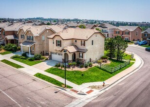 803 Fire Rock Pl in Colorado Springs, CO - Building Photo - Building Photo