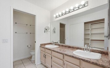 5565 N Sapphire Dr in Tucson, AZ - Building Photo - Building Photo