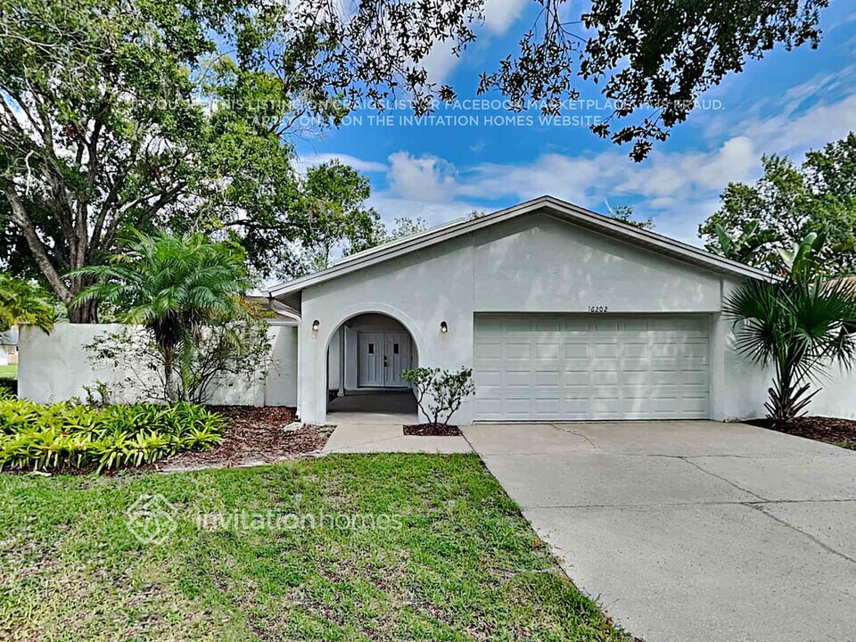 16202 Fantasia Dr in Tampa, FL - Building Photo