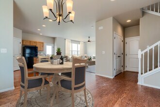 1753 Long Shadow Dr in Windsor, CO - Building Photo - Building Photo