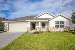 1178 King Sago Palm Ln in Jacksonville, FL - Building Photo