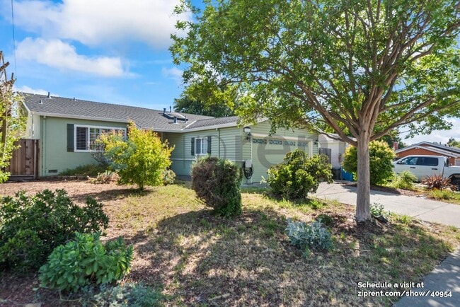 33125 Basswood Ave in Union City, CA - Building Photo - Building Photo