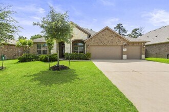 30931 Roanoak Woods Dr in Tomball, TX - Building Photo - Building Photo