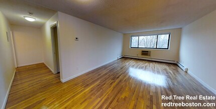 66 Homer Ave in Cambridge, MA - Building Photo - Building Photo