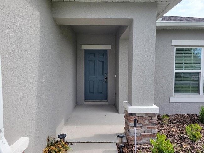 3935 Fescue St in Clermont, FL - Building Photo - Building Photo