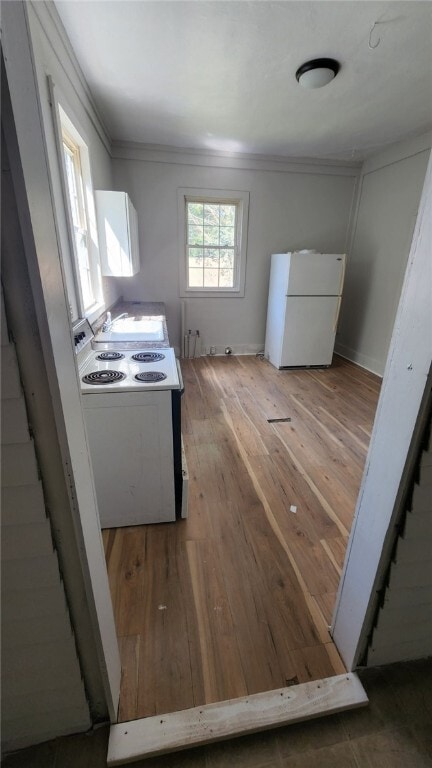 8 Ames St in Seneca, SC - Building Photo - Building Photo