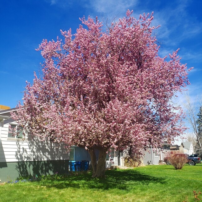 property at 3155 S Fox St
