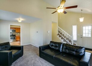 166 Mt Massive Way in Longmont, CO - Building Photo - Building Photo