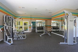 Lakeview at Palm Harbor in Palm Harbor, FL - Foto de edificio - Building Photo