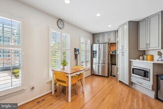 10924 Bloomingdale Dr in Rockville, MD - Building Photo - Building Photo