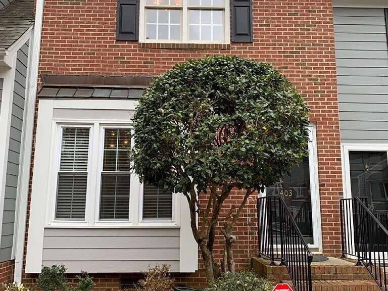 403 Gadland Ct in Raleigh, NC - Foto de edificio