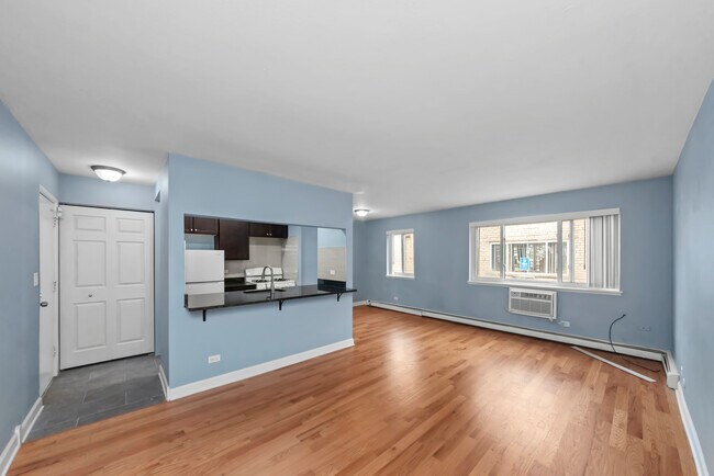 650 W Grace St, Unit 304 in Chicago, IL - Building Photo - Building Photo