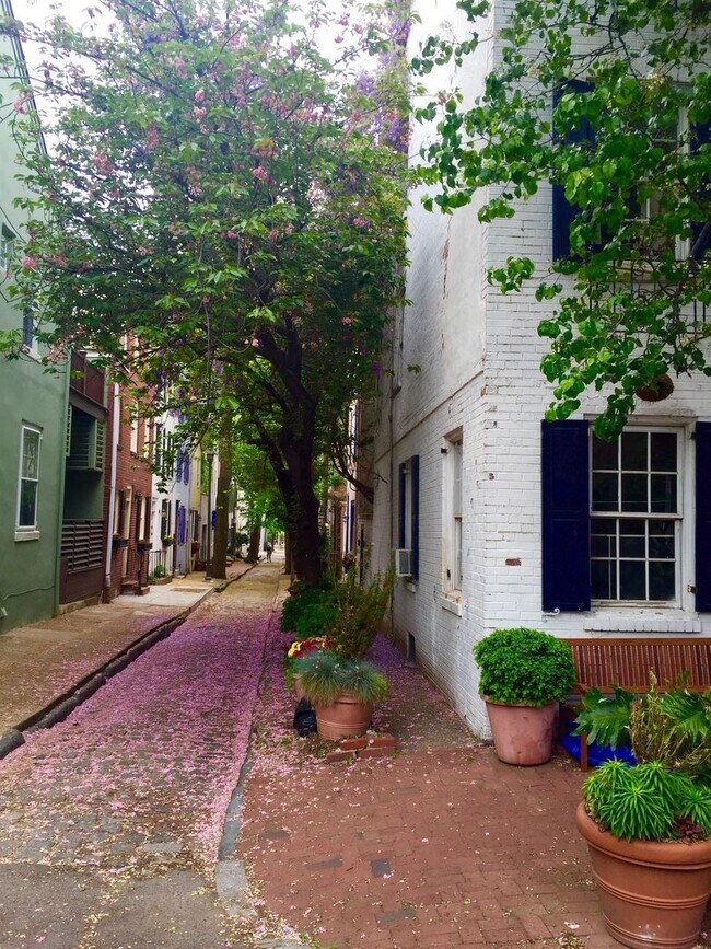 property at 2424 Panama St