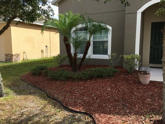 3058 Dasha Palm Dr in Kissimmee, FL - Building Photo - Building Photo