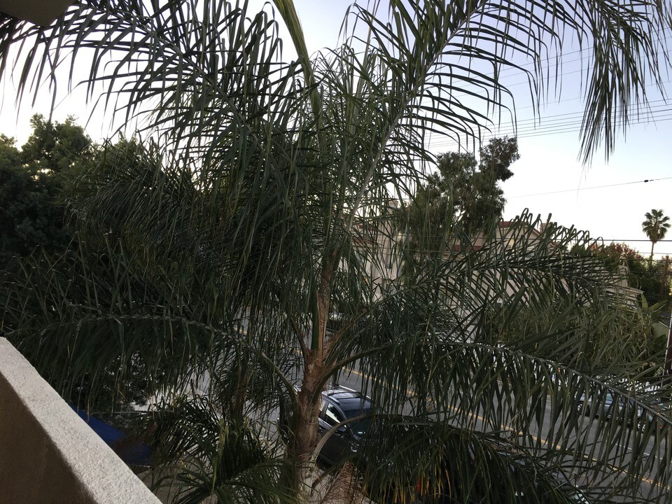 14718 W Magnolia Blvd, Unit #3 in Los Angeles, CA - Building Photo