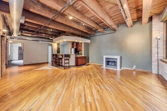 732 S Financial Pl in Chicago, IL - Building Photo - Building Photo