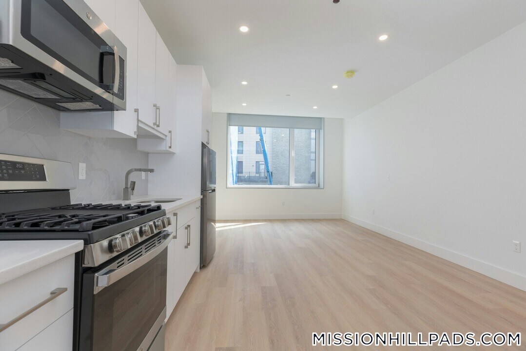 1127 Harrison Ave in Boston, MA - Building Photo