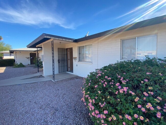 333 N. Higley Rd. Mesa AZ. 85205