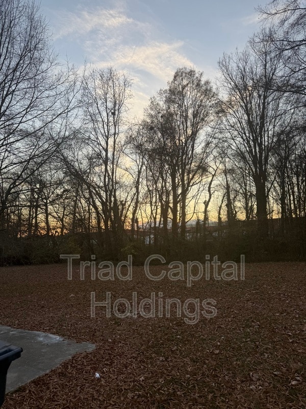 704 Pine St in Greensboro, NC - Building Photo - Building Photo